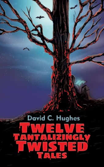 Twelve Tantalizingly Twisted Tales by David C. Hughes, Author